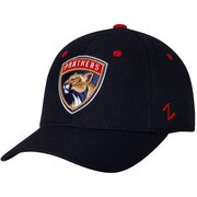 Florida Panthers Hats