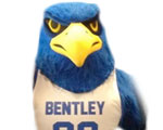 Bentley Falcons