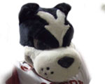 Boston University Terriers