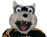 Michigan Tech Huskies