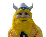 Augustana Vikings