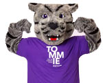 St. Thomas University Tommies